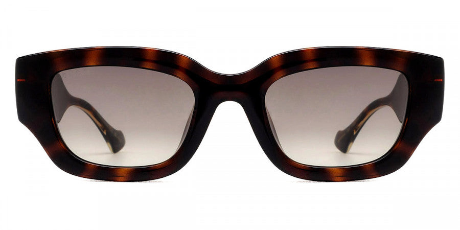 Gucci GUCCI-GG1558SK-002-51 TORTOISE / BROWN GRADIENT 51-22-145 GUCCI SUNGLASSES